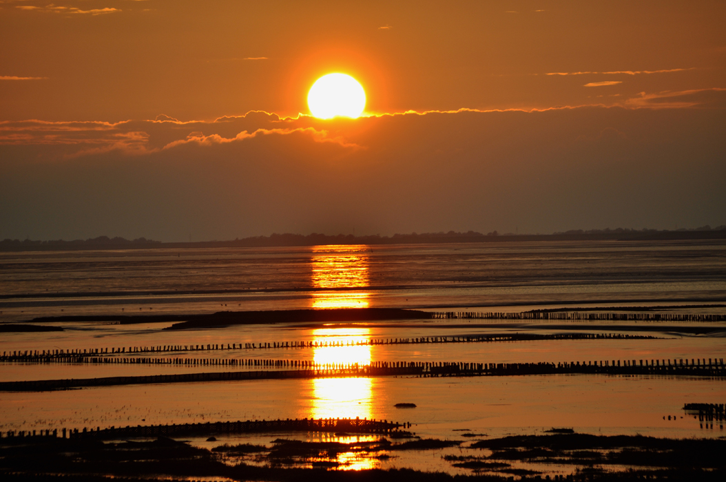 Sonnenuntergang auf der Halbinsel Eiderstedt