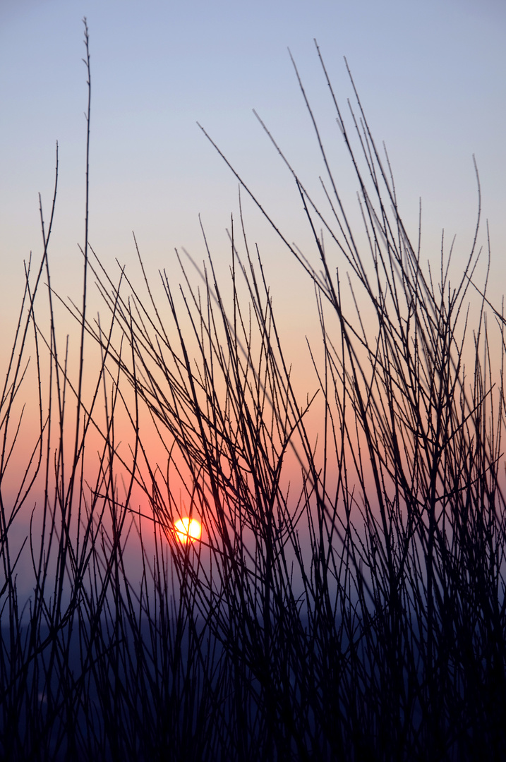 Sonnenuntergang auf der Halde Haniel