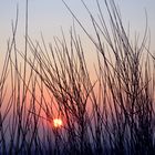 Sonnenuntergang auf der Halde Haniel