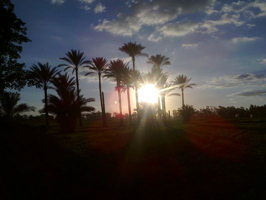 Sonnenuntergang auf der Handfläche