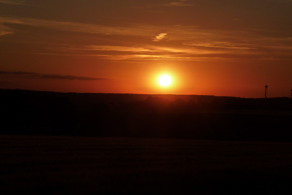 Sonnenuntergang auf der Hardt