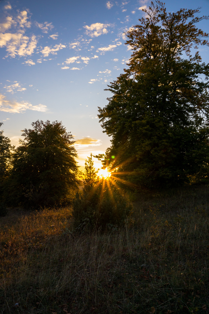 Sonnenuntergang auf der Heide