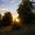 Sonnenuntergang auf der Heide