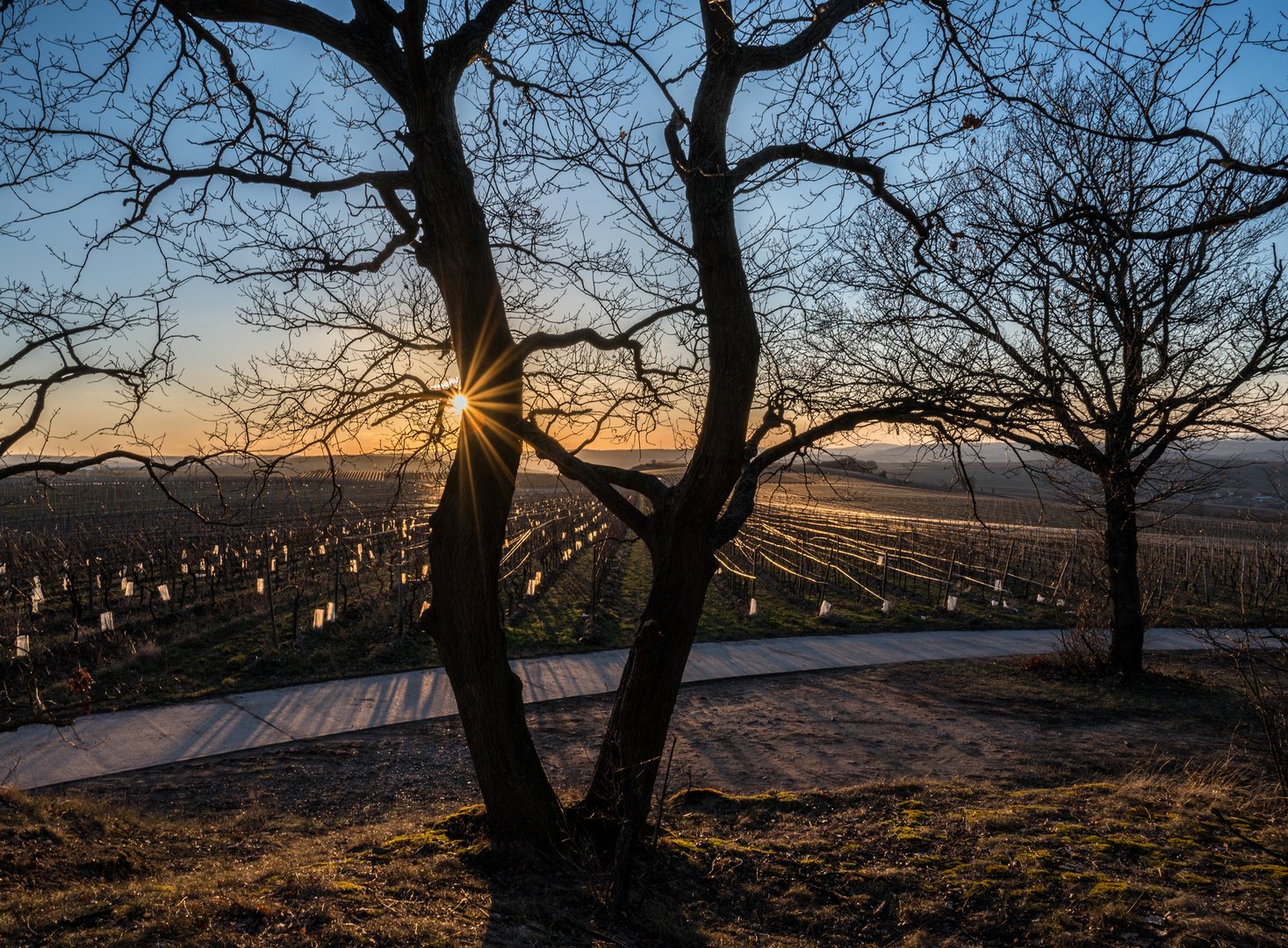 Sonnenuntergang auf der Hochebene