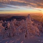 Sonnenuntergang auf der Hornisgrinde