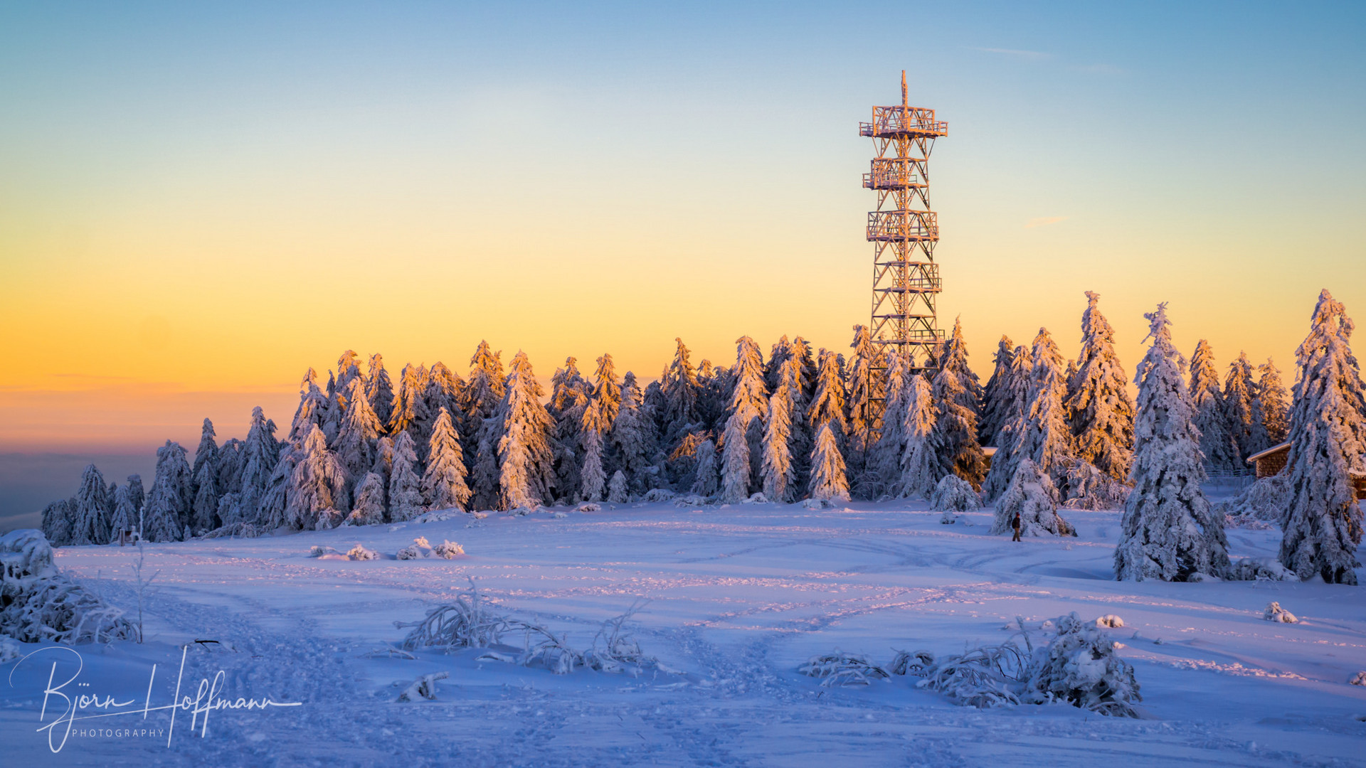 Sonnenuntergang auf der Hornisgrinde