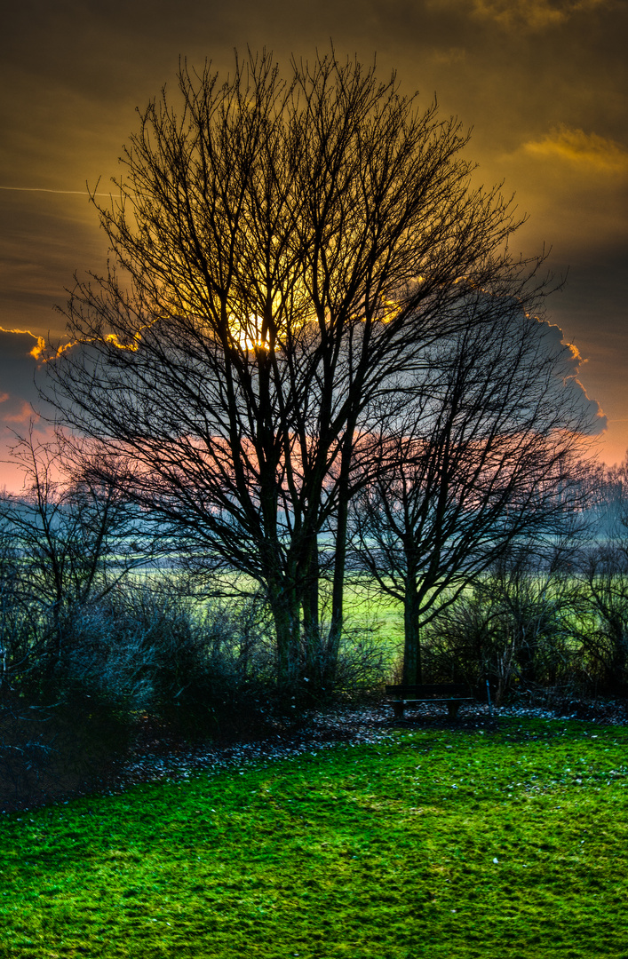 Sonnenuntergang auf der Hundewiese