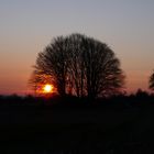 Sonnenuntergang auf der Ingersheimer Höhe