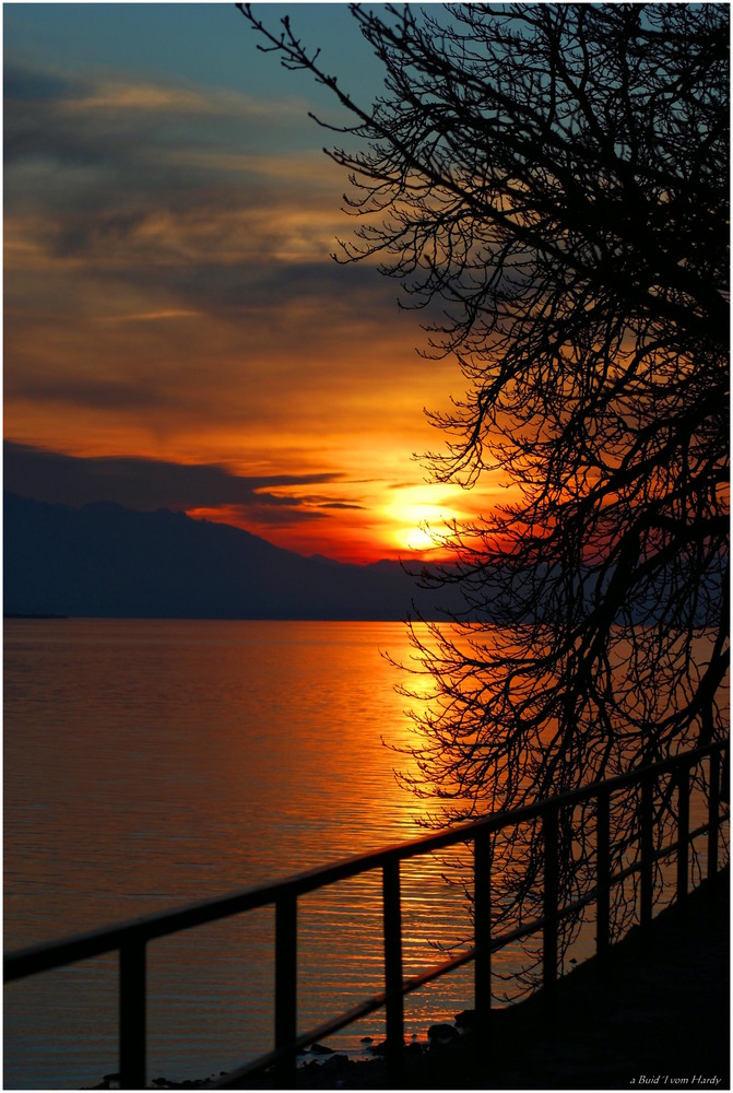 Sonnenuntergang auf der Insel