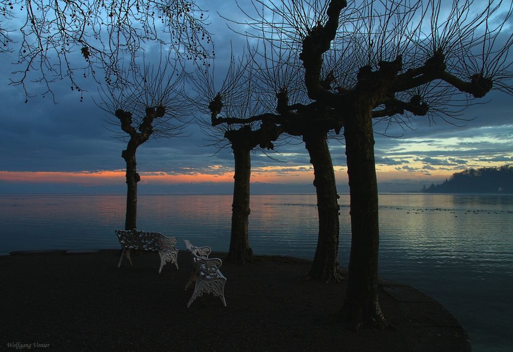 Sonnenuntergang auf der Insel Mainau.