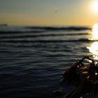 Sonnenuntergang auf der Insel Poel