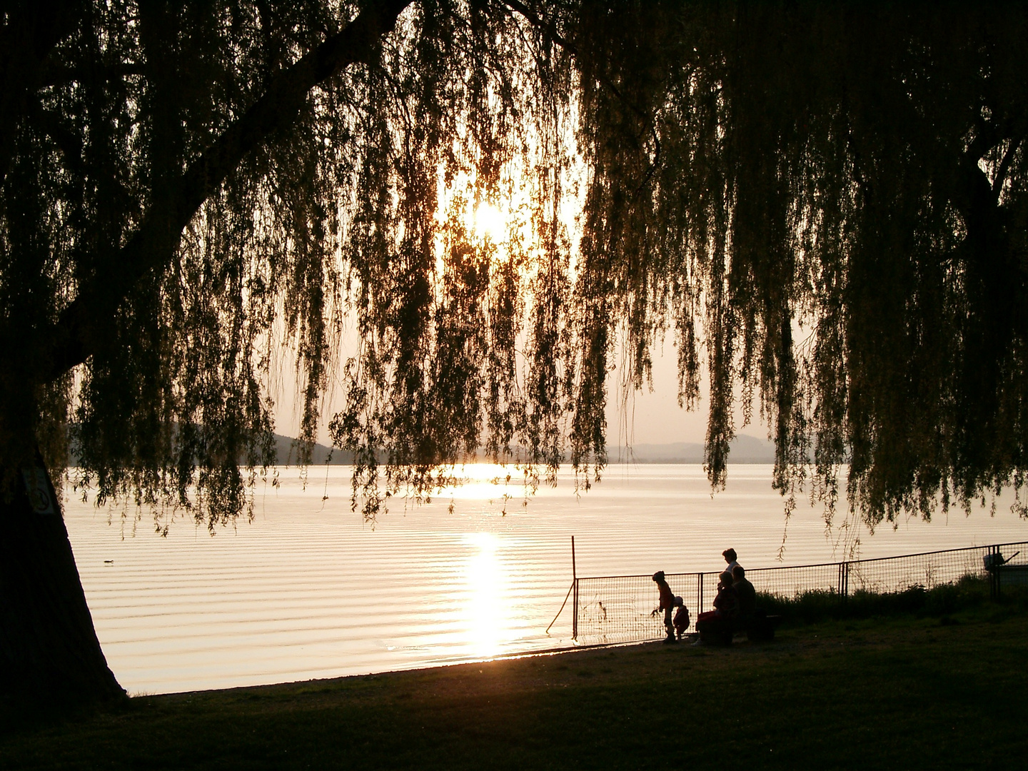 Sonnenuntergang auf der Insel Reichenau