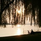 Sonnenuntergang auf der Insel Reichenau