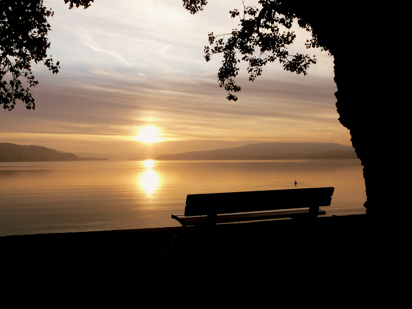 Sonnenuntergang auf der Insel Reichenau (Bodensee)