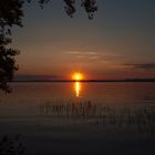 Sonnenuntergang auf der Insel Reichenau/Bodensee