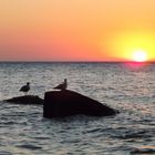 Sonnenuntergang auf der Insel Rügen