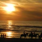 Sonnenuntergang auf der Insel Texel