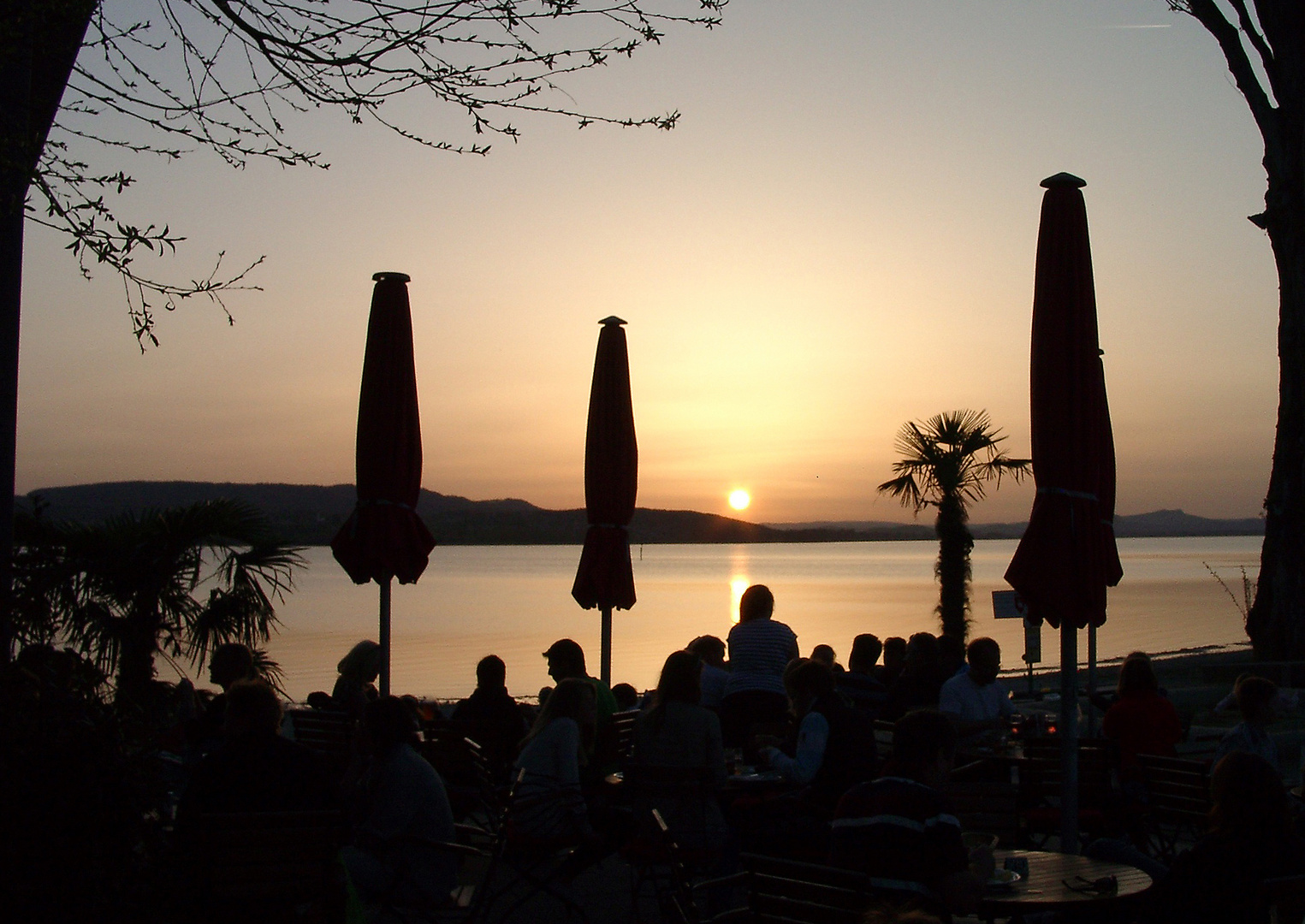 Sonnenuntergang auf der Reichenau !