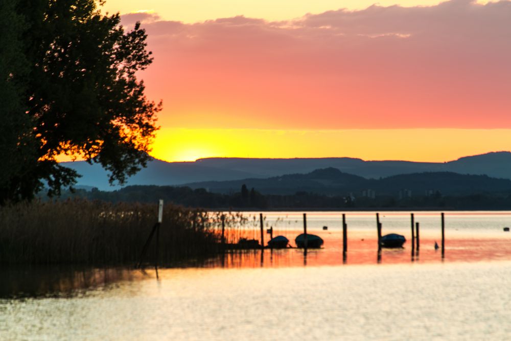 Sonnenuntergang auf der Reichenau