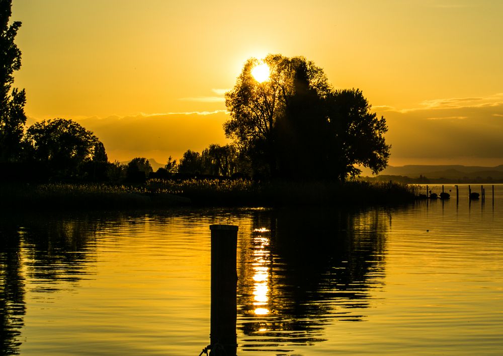 Sonnenuntergang auf der Reichenau