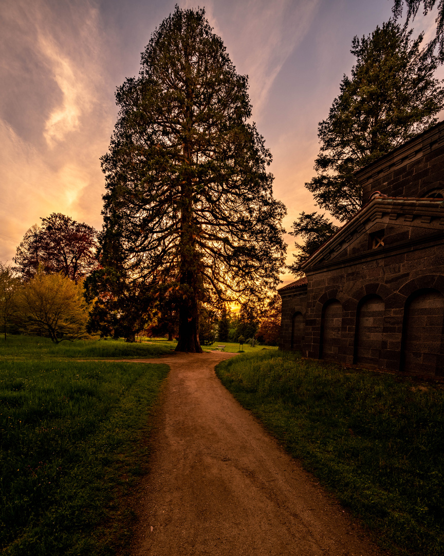 Sonnenuntergang auf der Rosenhöhe