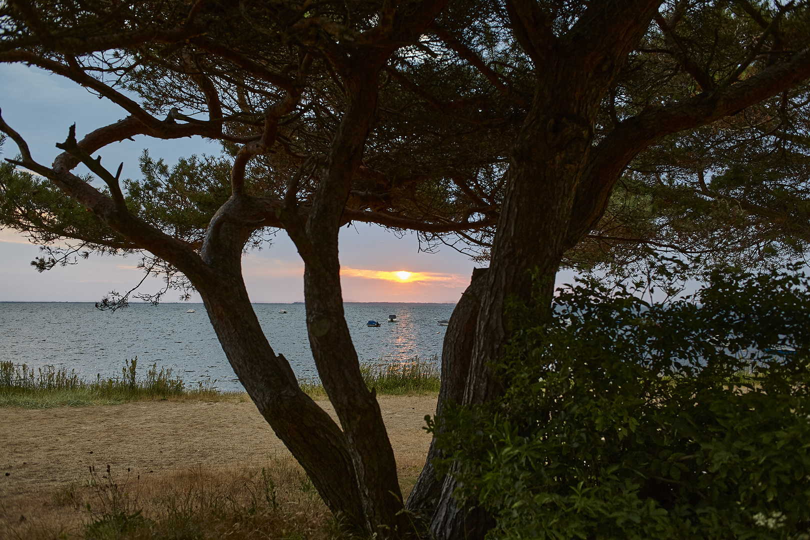 Sonnenuntergang auf der Rügeninsel Ummanz