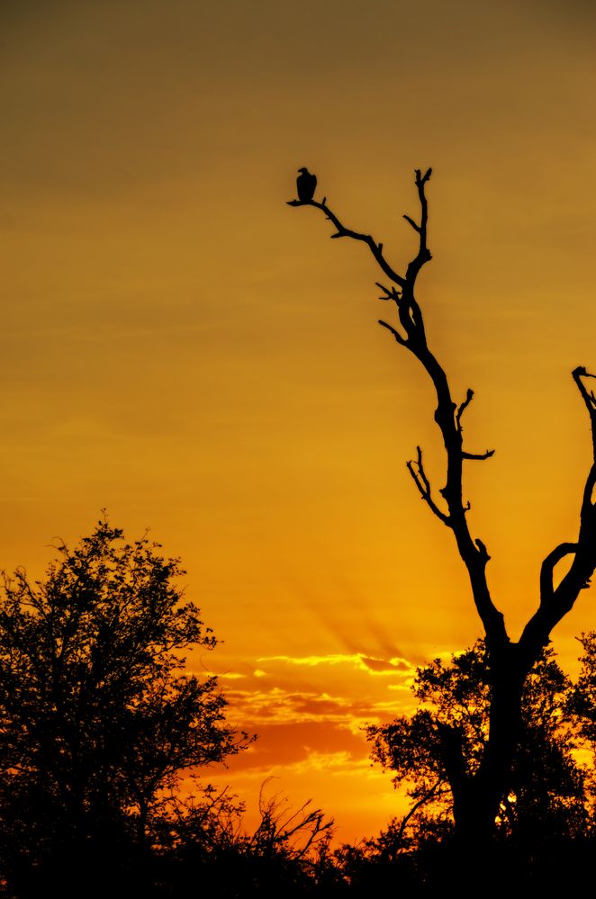 Sonnenuntergang auf der S 100