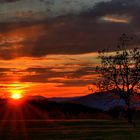 Sonnenuntergang auf der Schönmatt