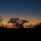 Sonnenuntergang auf der Schwäbischen Alb