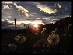 Sonnenuntergang auf der Seiser Alm