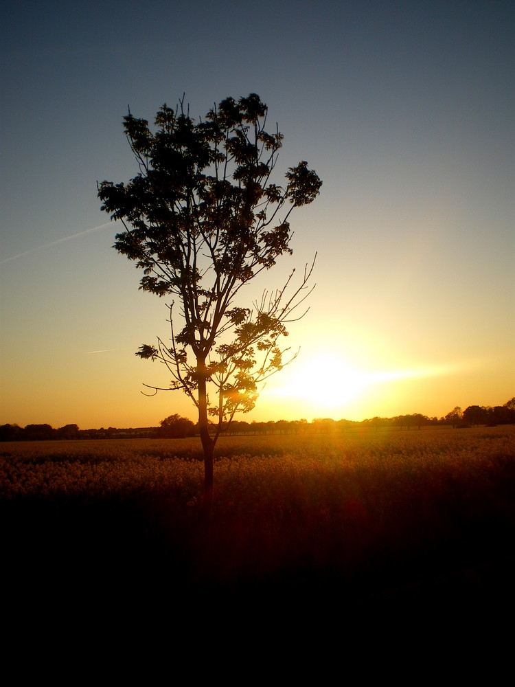 sonnenuntergang auf der sonneninsel...