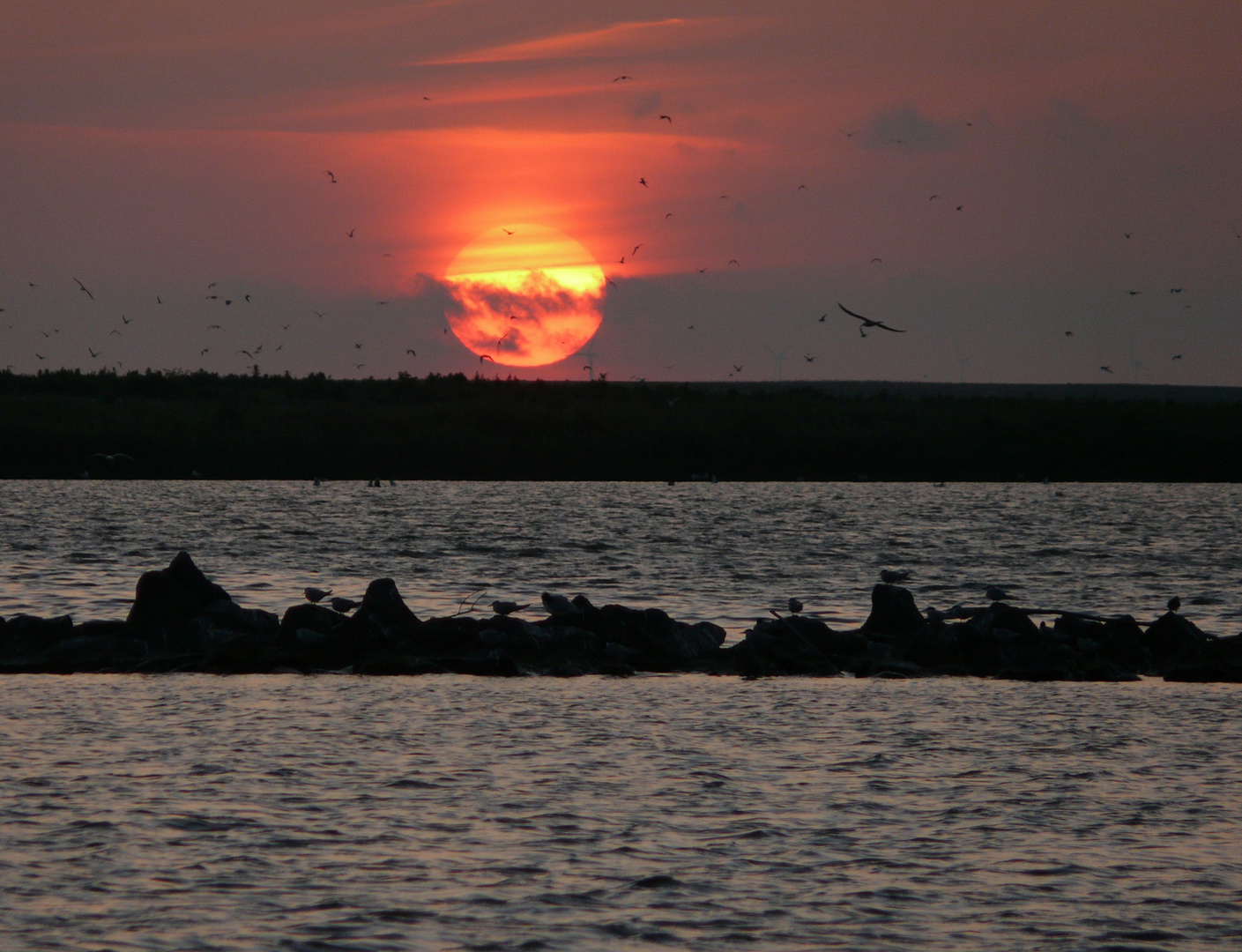 Sonnenuntergang auf der Vogelinsel Kreupel