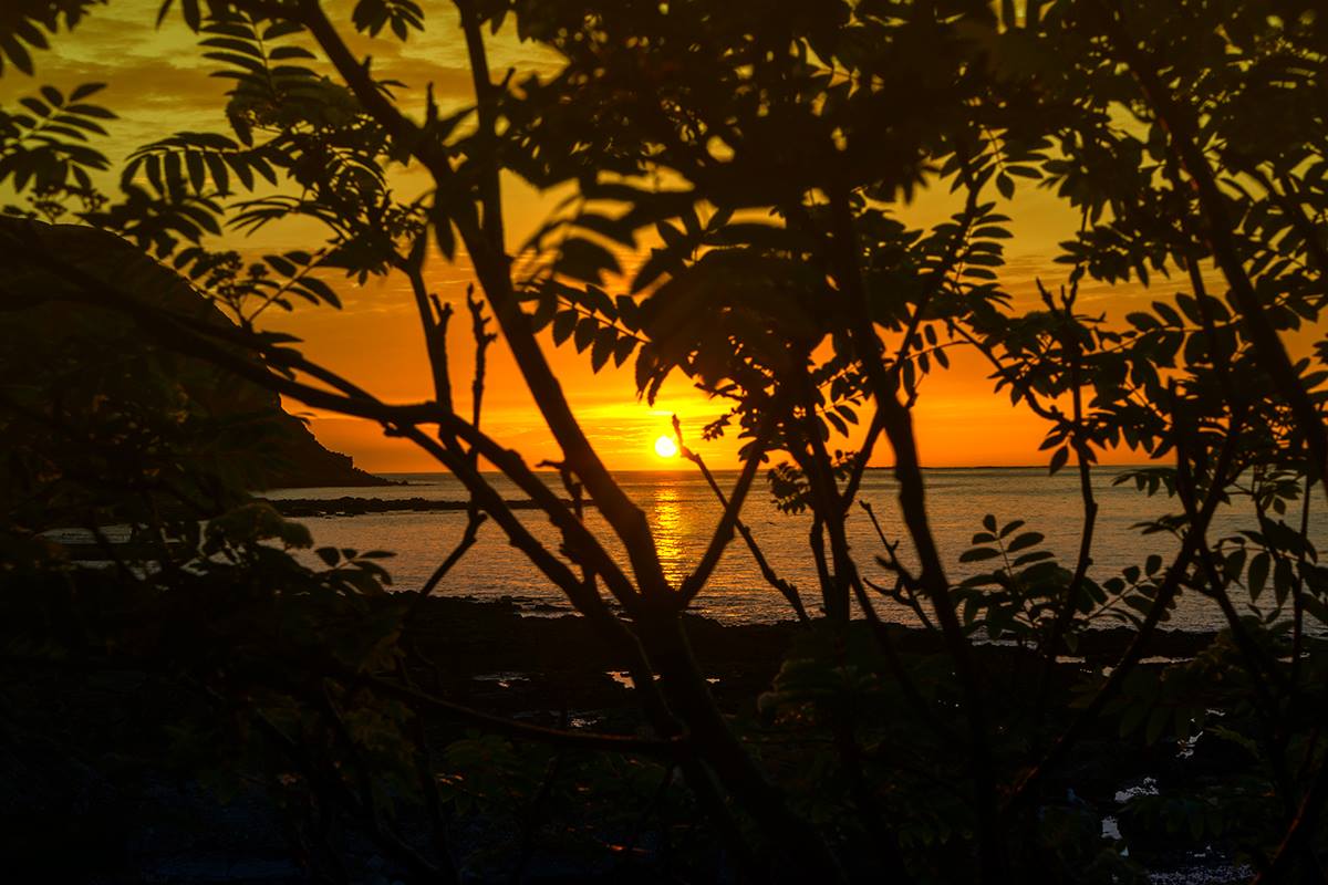 Sonnenuntergang auf der Vogelinsel Runde