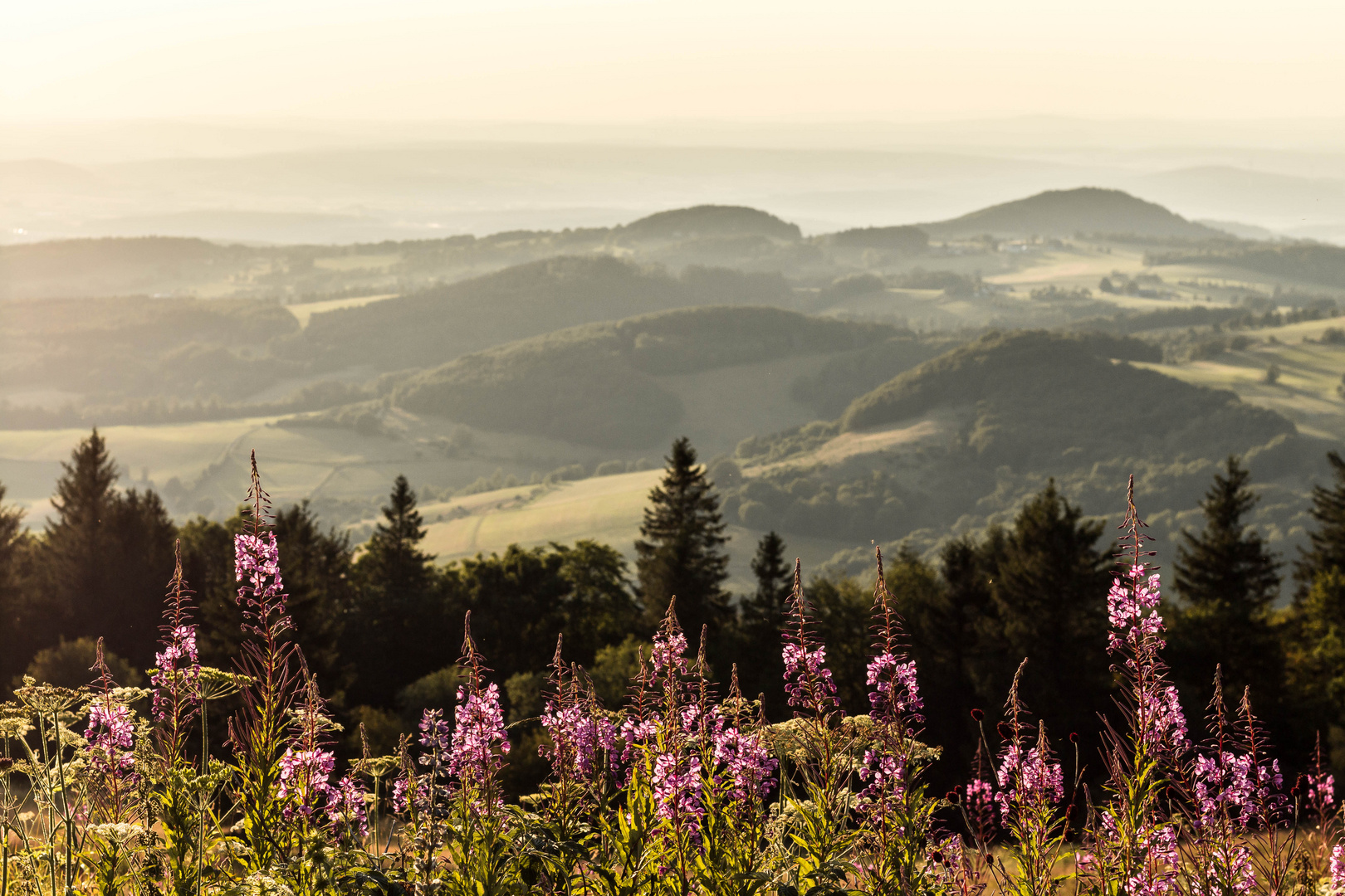 Sonnenuntergang auf der Wasserkuppe in der Hessischen Rhön