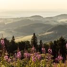 Sonnenuntergang auf der Wasserkuppe in der Hessischen Rhön