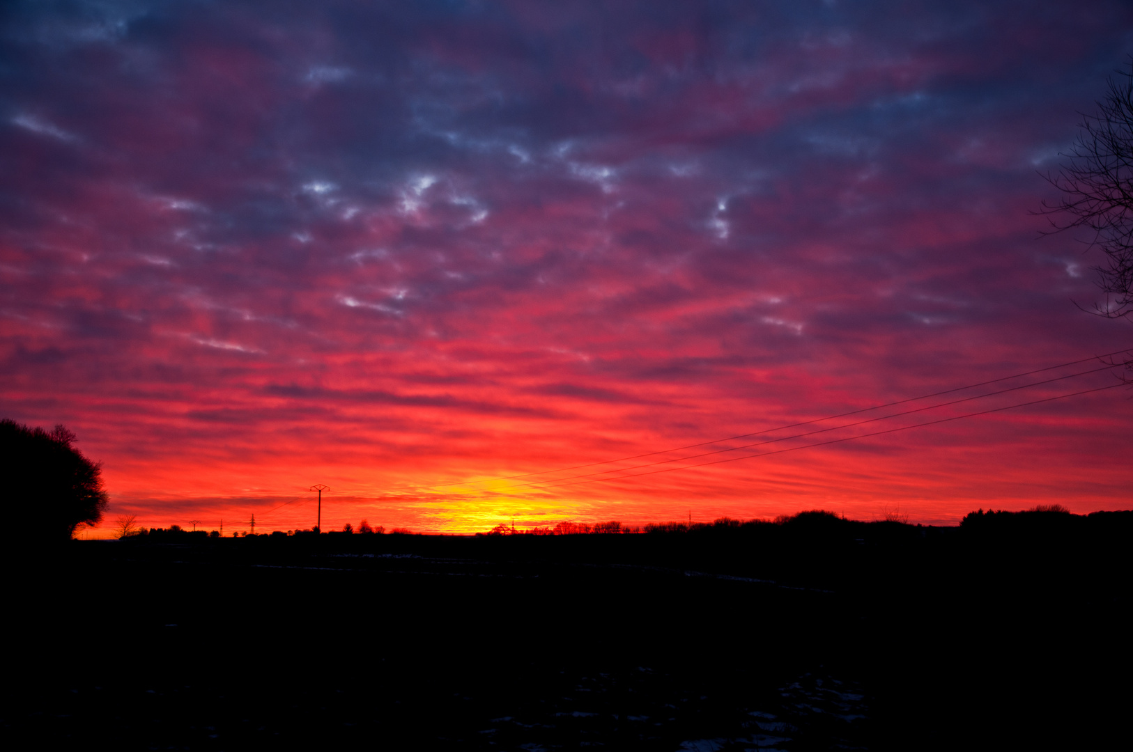 Sonnenuntergang auf der weide