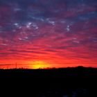 Sonnenuntergang auf der weide