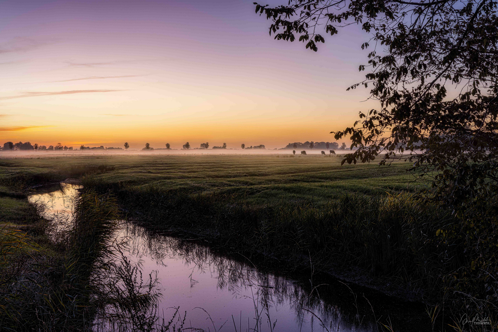 Sonnenuntergang auf Eiderstedt