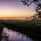 Sonnenuntergang auf Eiderstedt