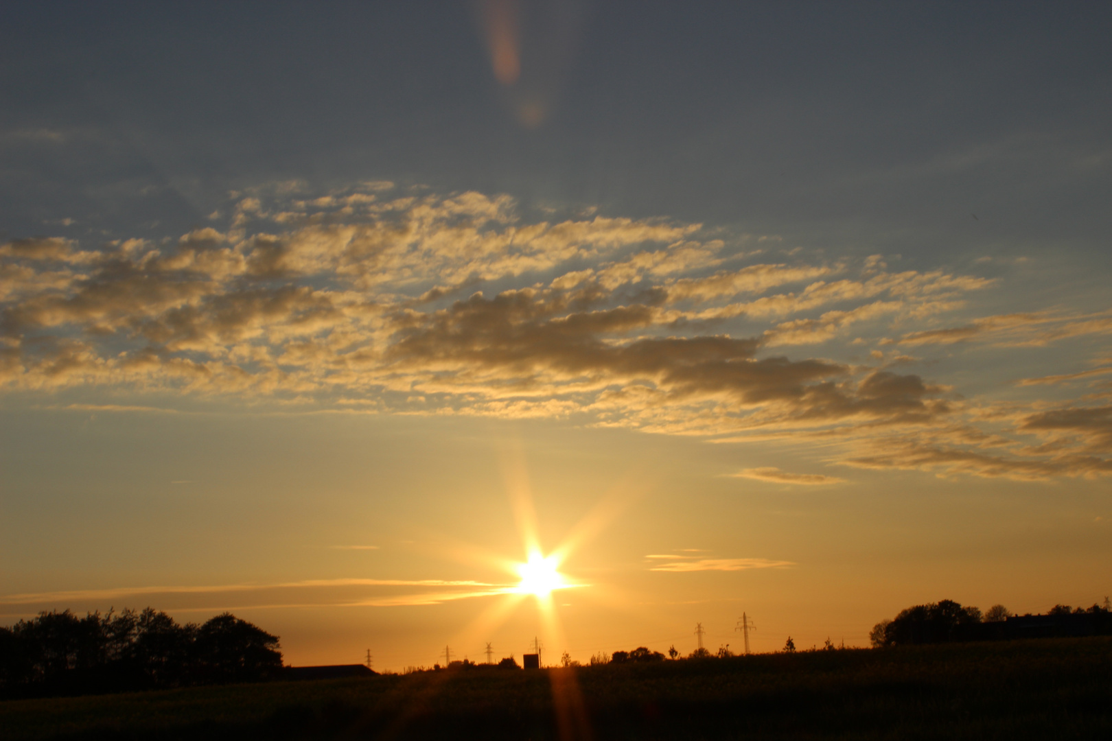 Sonnenuntergang auf einer Wiese