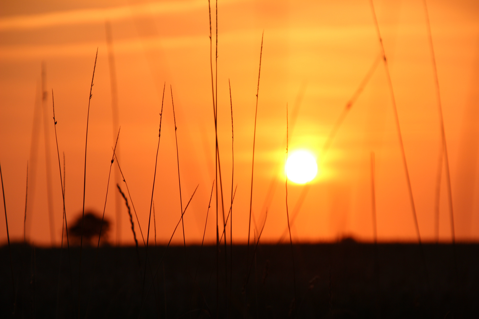 Sonnenuntergang auf Fehmahrn - Oststrand