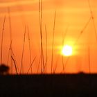 Sonnenuntergang auf Fehmahrn - Oststrand