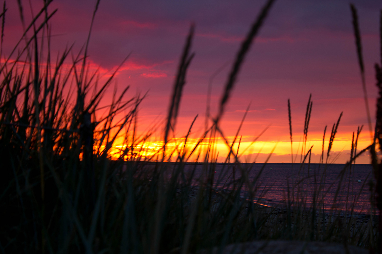 Sonnenuntergang auf Fehmar