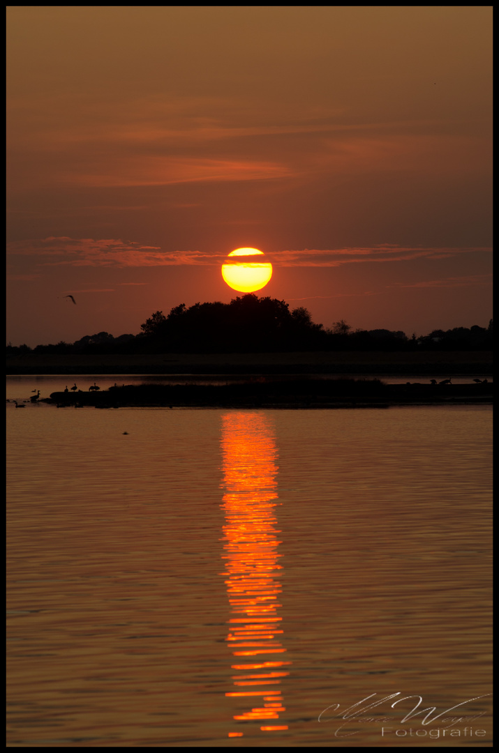 Sonnenuntergang auf Fehmarn 1