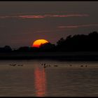 Sonnenuntergang auf Fehmarn 3