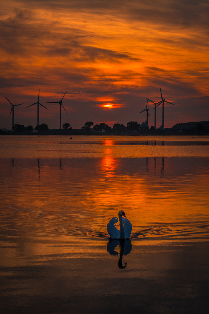 Sonnenuntergang auf Fehmarn