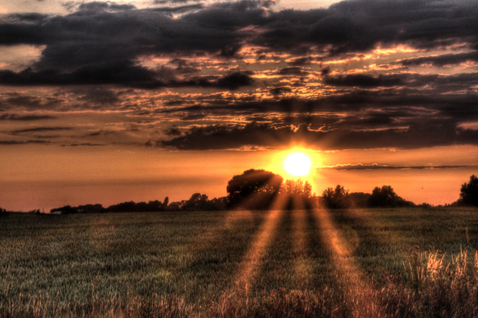 Sonnenuntergang auf Fehmarn