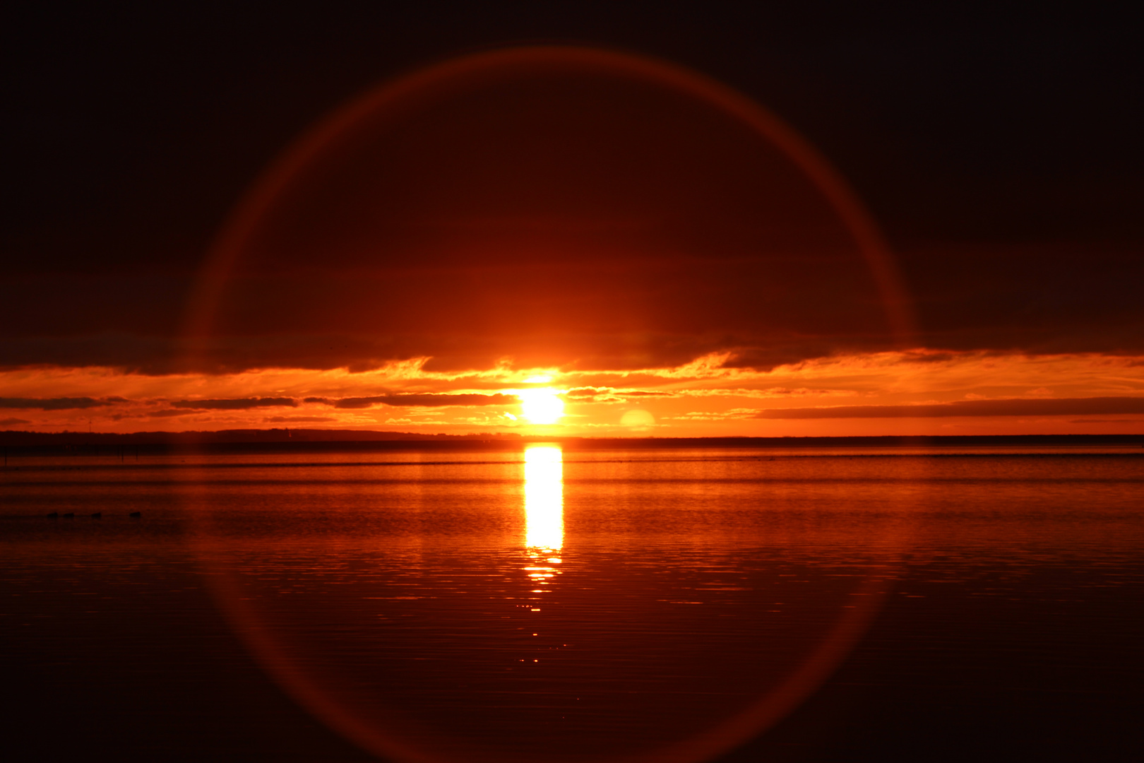 Sonnenuntergang auf Fehmarn