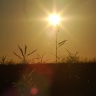 Sonnenuntergang auf Fehmarn