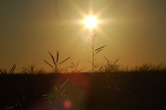 Sonnenuntergang auf Fehmarn